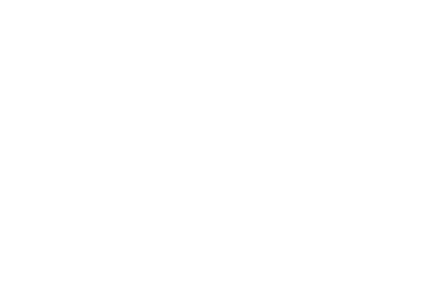 ProSon-logo-bloc blanc